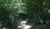 Randonnée Marche Dorres - Le chemin du Belloc - Photo 4