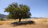 Excursión A pie Unknown - Ομαλός-Καλλέργν μέσω Κουκουλέ - Photo 2