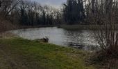 Trail Walking Seneffe - arquennes vieux canal gr bois de l hôpital ravel - Photo 3