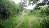 Tocht Te voet Unknown - Corvedale Three Castles Walk - Photo 7