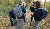 Trail Walking Pontoise - Pontoise  - Photo 3