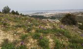 Tocht Stappen Marseille - Mt Puget aven des Marseillais  - Photo 7