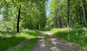 Tour Wandern Compiègne - en Forêt de Compiègne_50_les Routes des Beaux Monts, de Morpigny et des Nymphes - Photo 2