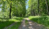 Excursión Senderismo Compiègne - en Forêt de Compiègne_50_les Routes des Beaux Monts, de Morpigny et des Nymphes - Photo 2