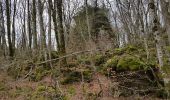 Trail Nordic walking Lauroux - Labeil Forêt de l'Escandorgue Juin 2021 - Photo 12