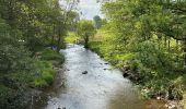 Trail Walking Sainte-Ode - Lavacherie - Photo 3