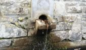 Randonnée Marche Comblain-au-Pont - pompiers de sçay - Photo 7