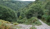 Tocht Te voet North Devon - Butterfly Walk - Photo 5