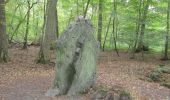 Percorso Bici ibrida Pont-Sainte-Maxence - halte menhirs d' iderolles - Photo 2