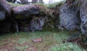 Tour Zu Fuß Unknown - Den nordlige vandretur i Lindet Skov - Photo 3