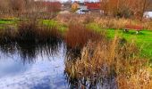 Tocht Stappen Braives - La Rainette des marais   - Photo 8