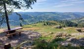 Randonnée Marche La Bresse - Lac de Lispach, la Roche des Bioquets, La Tête de Grouvelin - Photo 2