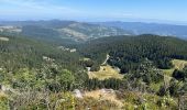 Tour Wandern Sulzern - Tanet-Gazon du Fain-Tanet - Photo 1