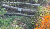 Tour  Attert - Balisage GR 15 - Photo 1