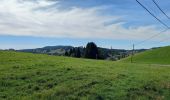 Excursión Senderismo Septmoncel les Molunes - GTJ 8 Lajoux, Le Manon / La Pesse - Photo 1