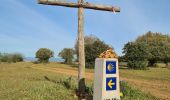 Tocht Stappen Villares de Órbigo - Santibañez Astorga Murias - Photo 6