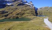 Tocht Stappen Grindelwald - Lacs de Bashsee - Photo 9