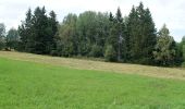 Tour Zu Fuß Karlsbrunn - [Č] Malá Morávka - Karlova Studánka - Photo 2