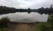 Trail Walking Hoogstraten - Wortel-Kolonie  - Photo 13