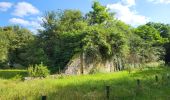 Tour Elektrofahrrad Schert - VTT - Essert - Salbert - Vétrigne - Miotte - Citadelle Belfort - Essert - Photo 20