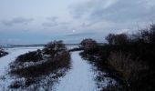 Trail On foot Texel - De Geul - Photo 6