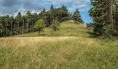 Trail On foot Bad Staffelstein - Hasenweg (Romansthal) - Photo 10