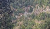 Tocht Stappen Funchal (Santa Maria Maior) - Monte par le Levada do Bom Sucesso (Rother n°2 inversé) - Photo 17