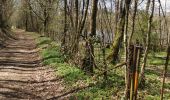 Tour Wandern Lagraulière - Lagauliere - Photo 4