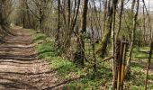 Trail Walking Lagraulière - Lagauliere - Photo 4