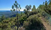 Tour Wandern Fréjus - Mont Vinaigre depuis Colle Douce - Photo 2