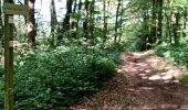 Tour Wandern Plaintel - Au bois des Mauriers. N 2 - Photo 1