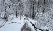 Randonnée Raquettes à neige Le Valtin - Col de la Schlucht - Photo 2