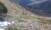 Randonnée Marche Châtillon-en-Diois - Chatillon en Diois la cabane - Photo 2