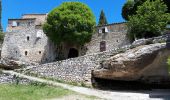 Tocht Stappen Buoux - buoux - Photo 14