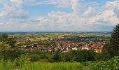 Tour Zu Fuß Hirschberg an der Bergstraße - Rundwanderweg Kehrrang 5 - Photo 9