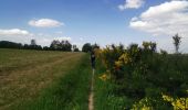 Trail Walking Épinal - Dounoux - Photo 3