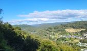 Tocht Stappen Bouillon - Rochehaut 051024 - Photo 13