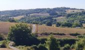 Excursión Senderismo Verneuil-sur-Vienne - la Merlie - Photo 1