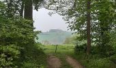 Trail Walking Liège - chenee beynes chevremont chenee - Photo 5
