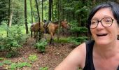 Trail Horseback riding Brouville - Avec Nadine Fred brouville grammont Tivio  - Photo 6