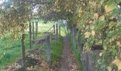 Trail Walking Riemst - autour de Kanne via montagne St Pierre et les vignes - Photo 1