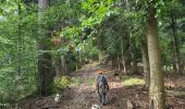 Tocht Stappen Sainte-Croix-aux-Mines - Le Hury par le Petit-Haut - Photo 7