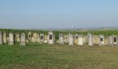 Tour Zu Fuß Markt Nordheim - Wanderweg Blauer Tropfen / Markt Nordheim - Bullenheim - Photo 5