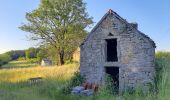 Randonnée Marche Barizey - Bourgogne à pied - Photo 6