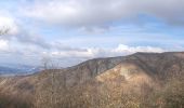 Tour Zu Fuß Borghetto di Borbera - Strette Di Pertuso - M.Te Barillaro - Photo 1