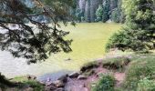 Excursión Senderismo Le Valtin - Le lac vert - Photo 5