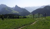 Trail Walking Vacheresse - Pointe d'Autigny - Photo 1