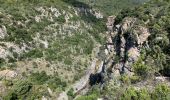 Trail Walking Minerve - Gorges de Minerve  - Photo 7
