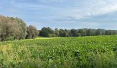 Tocht Stappen Vloesberg - Flobecq 15,1 km - Photo 15