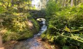 Randonnée Marche Ottenhöfen im Schwarzwald - Karlsruher Gray - Photo 7